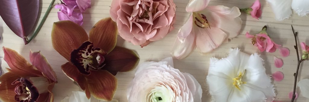 thebowsarrows's profile banner image