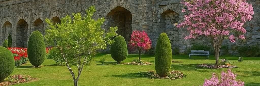 🌸bano Aida🌸 banner