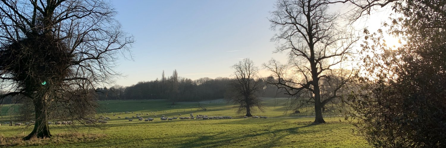 Tim Kelly 🇺🇦🇬🇪🇬🇱 banner