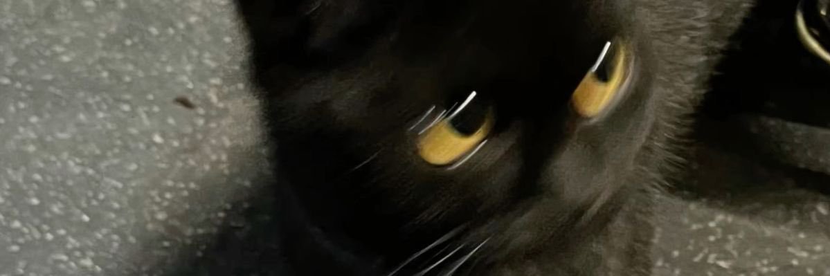 shrrrr_s's profile banner image