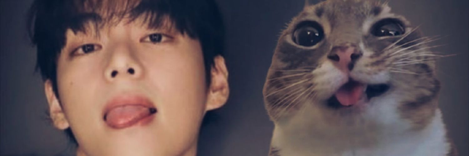 mttwtf's profile banner image
