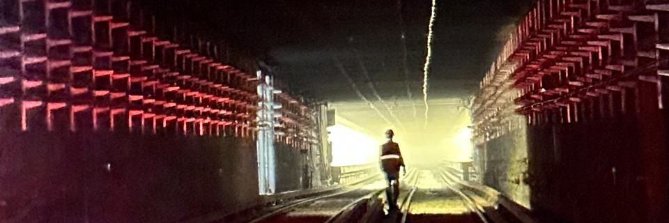 david_scalant's profile banner image