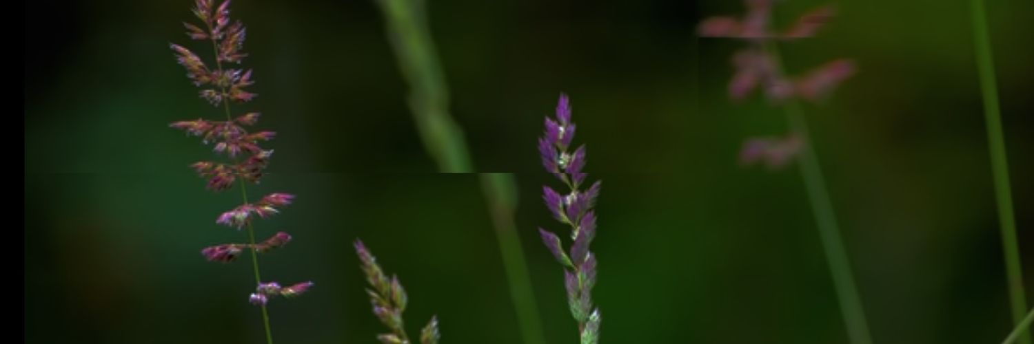aahat57's profile banner image
