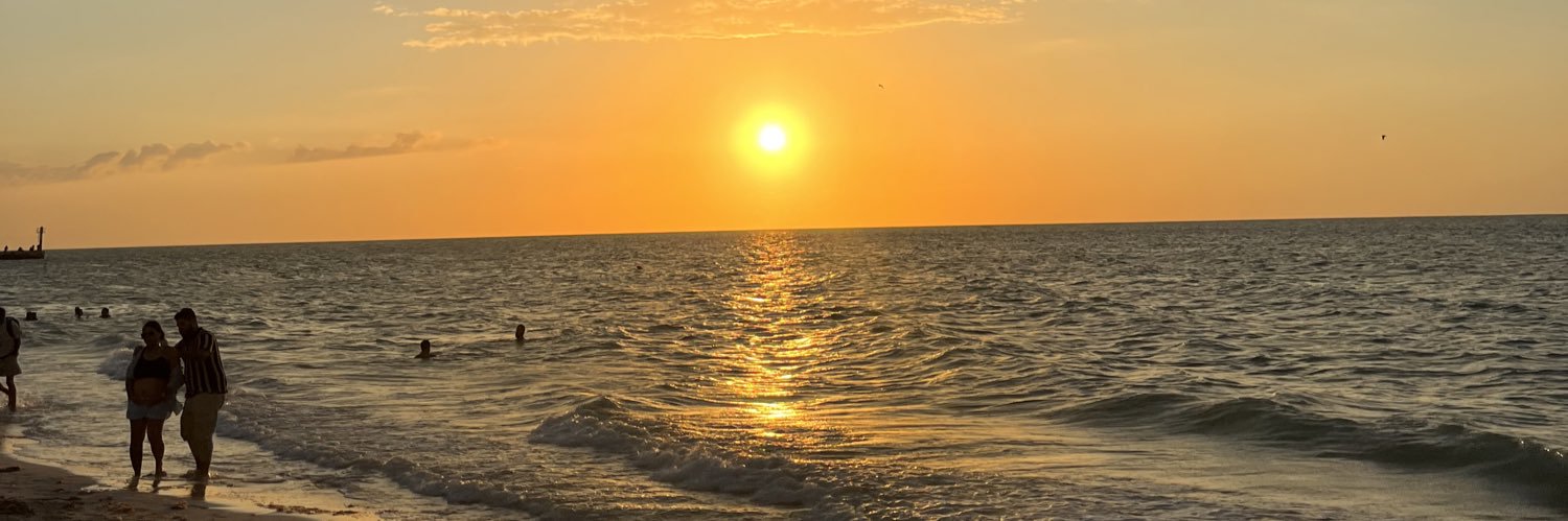 LSe0803's profile banner image