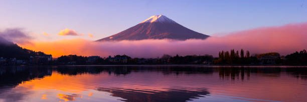 Johnny_the_Red_cat banner