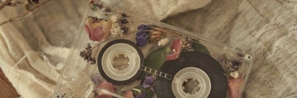 SandraVilchis1's profile banner image