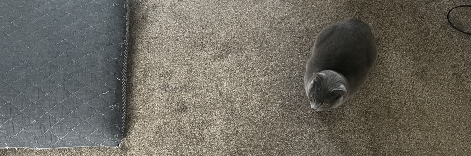 霧鳥ちゃん(うすしお味)🐥 banner