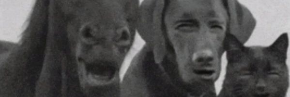 Lunarium Locası Üyesi 💫 banner