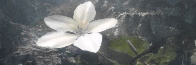 KBTxo's profile banner image