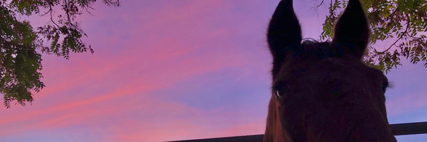 Miranda Lebron banner