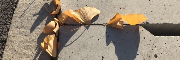 Sailing_ship108 Profile Banner