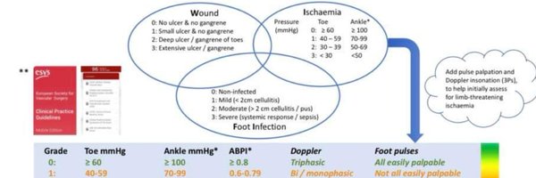 EmilyHawor100 Profile Banner