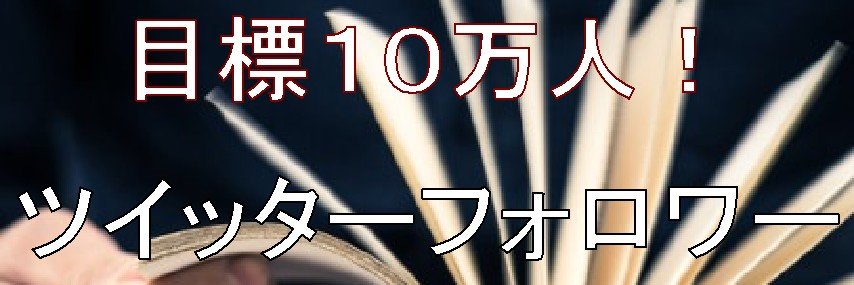 siaulin's profile banner image