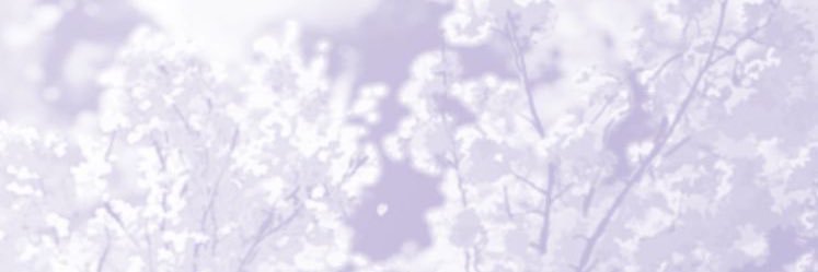 Benedict ( busy ) banner