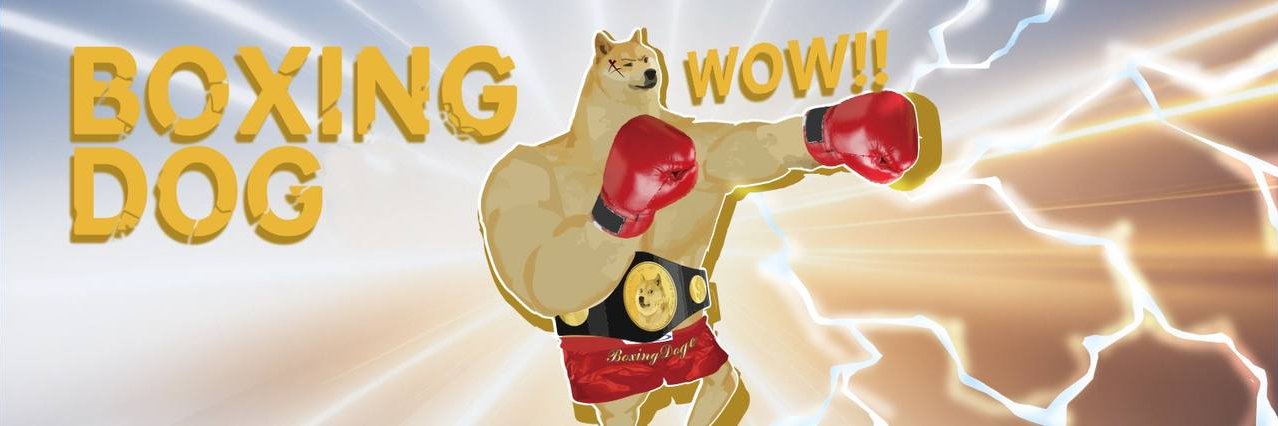 Boxingdoge_sol's profile banner image