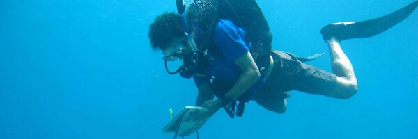 simondonner Profile Banner