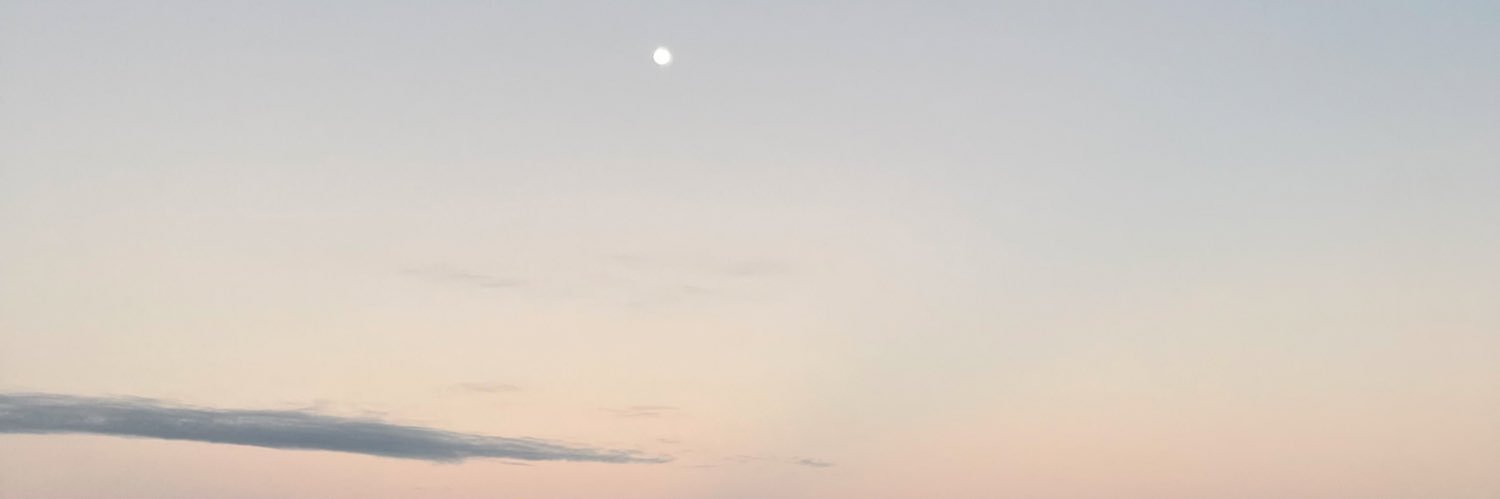 singlebi420's profile banner image