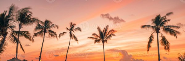 0xSotama Profile Banner