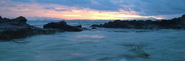 TamagoFake Profile Banner