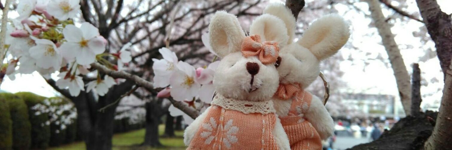 great_icho's profile banner image
