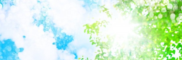 かもみーる🌼猫と新潟 banner