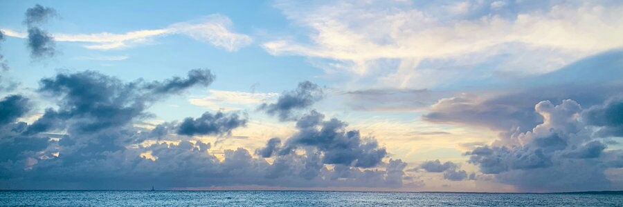 lilynotesaya's profile banner image