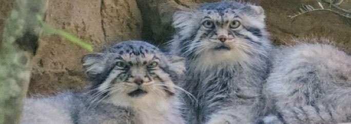 LockedAndrew23's profile banner image