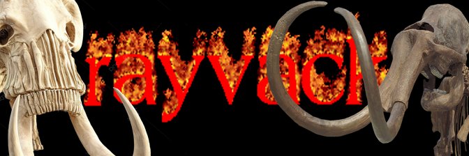 rayvack bote sagua vida banner