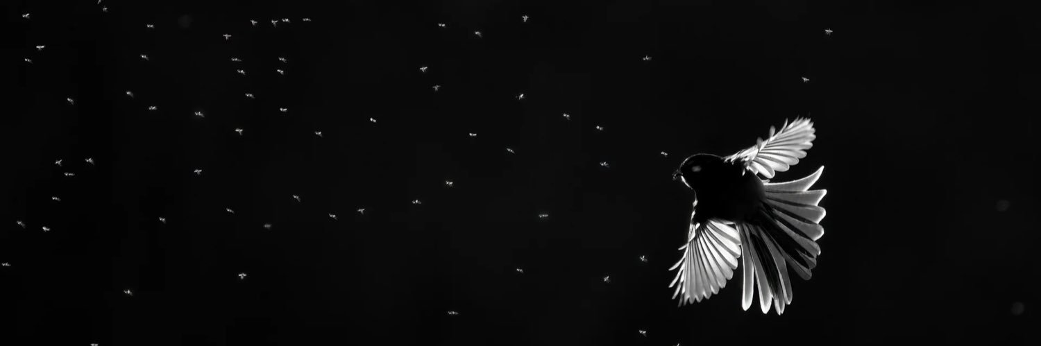 alexander2357_'s profile banner image
