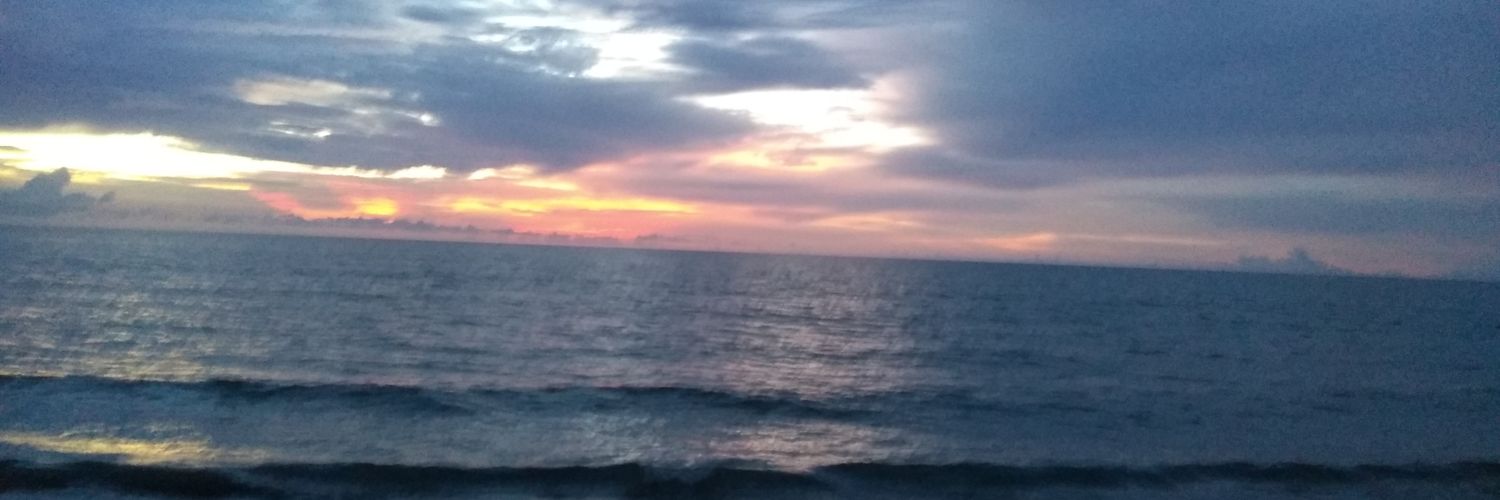 LiisPao22's profile banner image