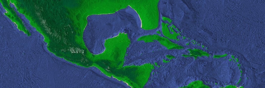 Jillian Ada Burrows banner