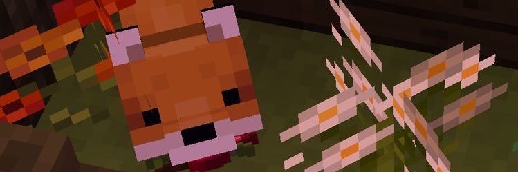 kit0clock's profile banner image
