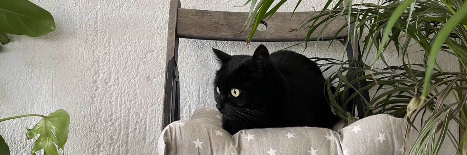 Oda 🇳🇴🇺🇦🏳️‍🌈 banner