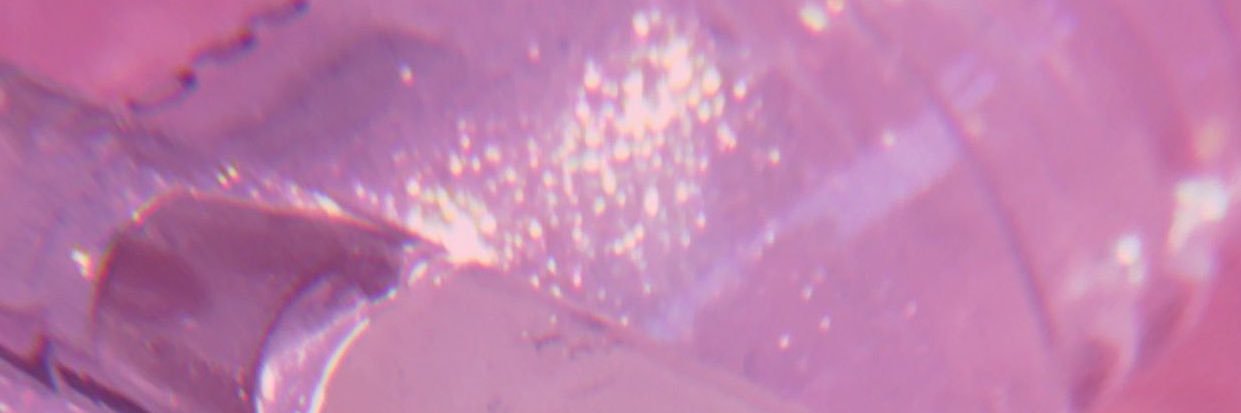 Butterflylisac's profile banner image