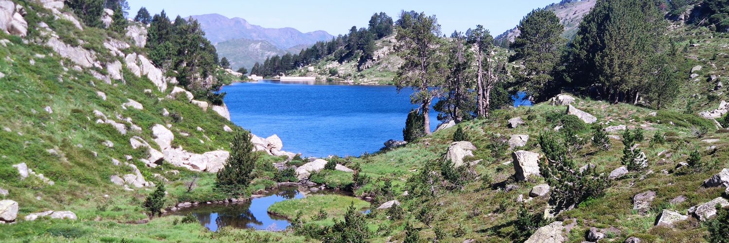 Jaume_RS's profile banner image