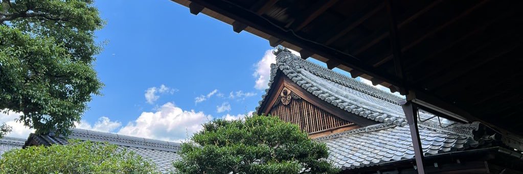 䵚's banner