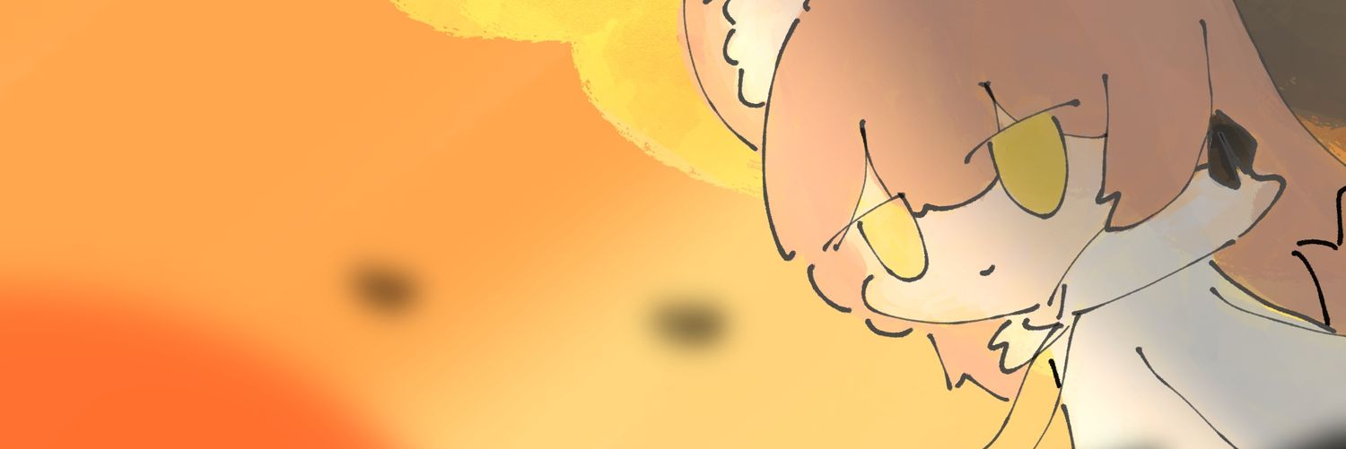 10 duck banner