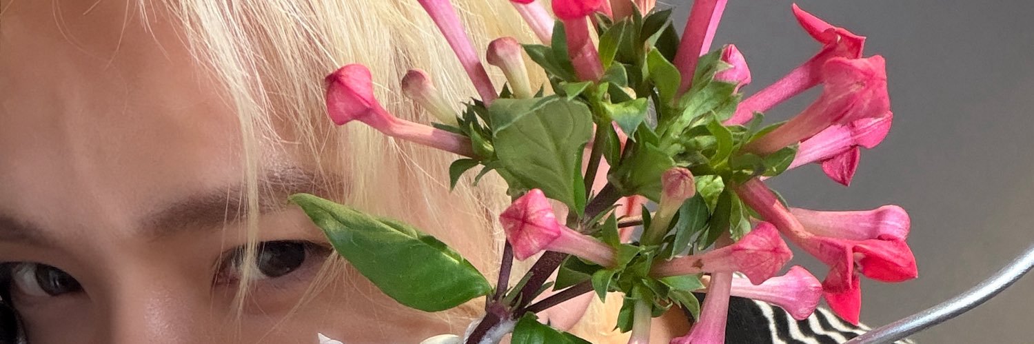 yip ౨ৎ banner