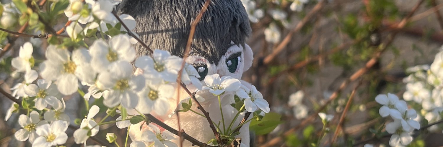 _haen2's profile banner image