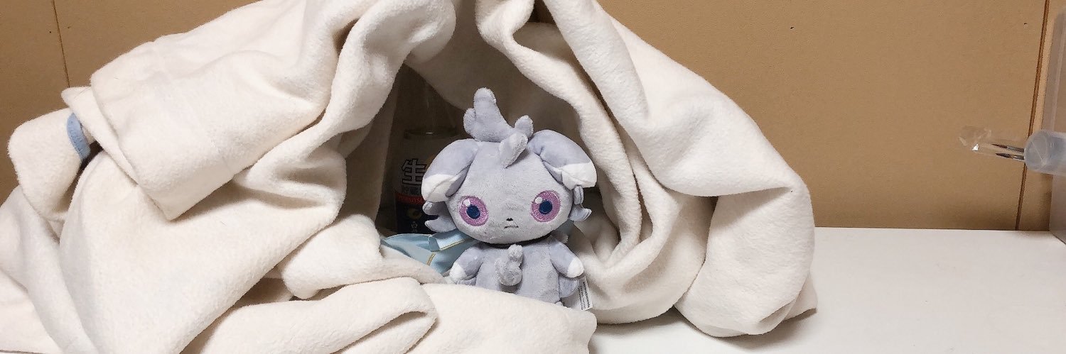 nyasupippi's profile banner image
