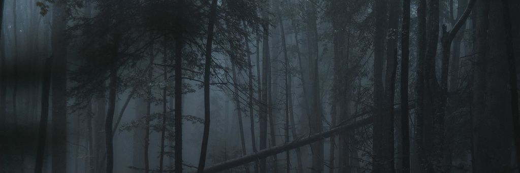Doxton_VA banner