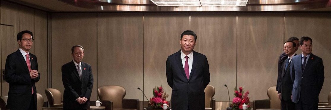 Черепаха banner