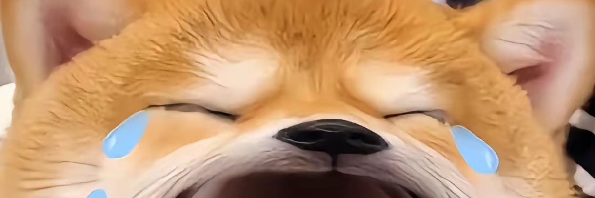 BIGDOG2204's profile banner image