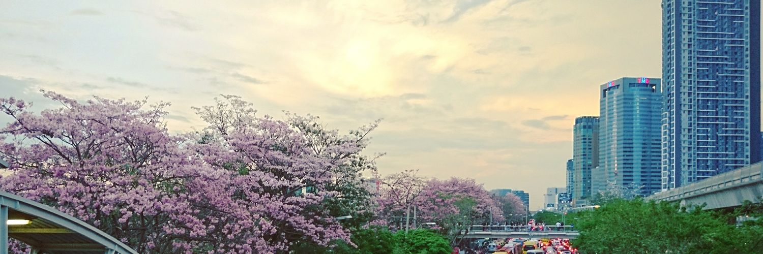 sweet_ple's profile banner image