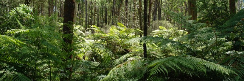 💧John Holmes🐨 banner