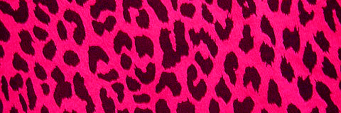 allybally2604's profile banner image