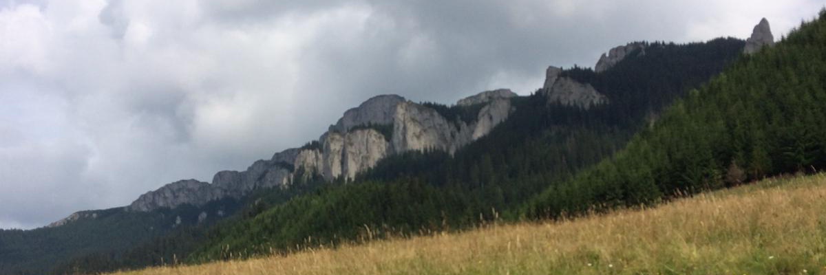 Sabin Marcoschi banner