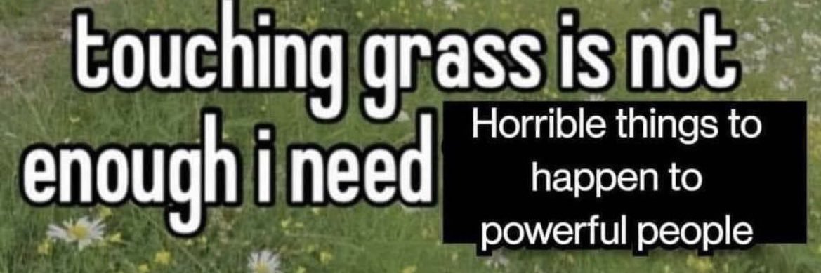 remilutionary remist banner