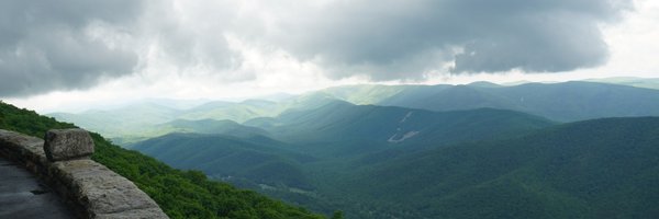 EmilyLPatterson Profile Banner