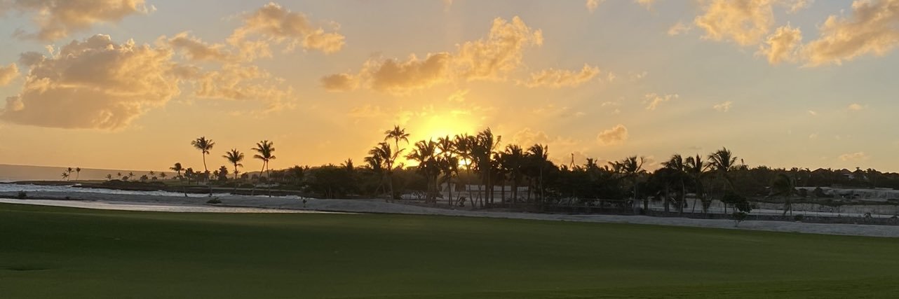 Bitterness_Joy's banner
